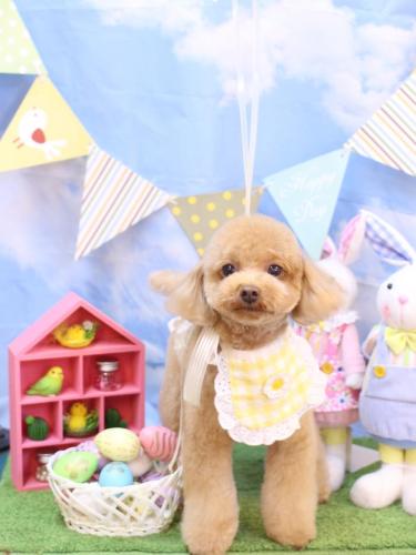 20240331ララちゃん